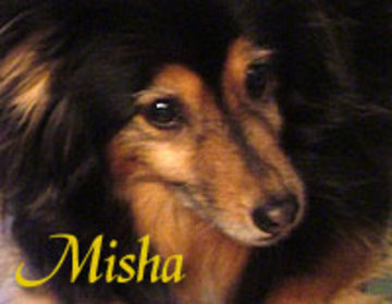 Misha sei l'Amore mio!